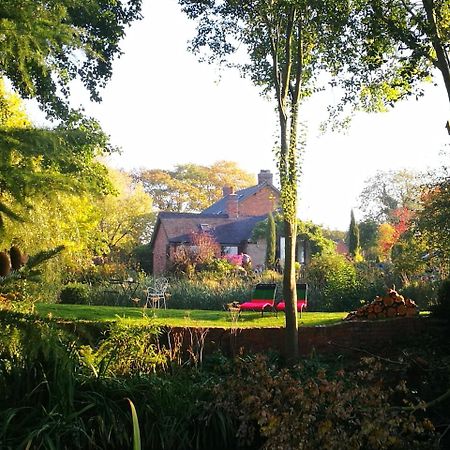 Hayeswood Lodge Luxury Accommodation Stanley  Extérieur photo