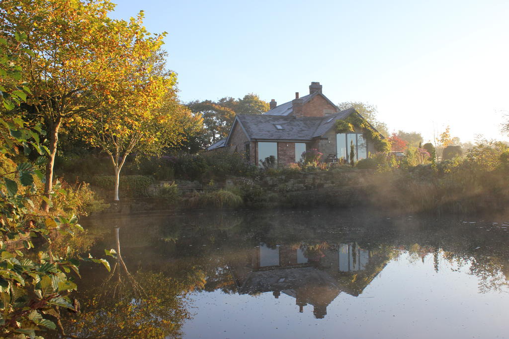 Hayeswood Lodge Luxury Accommodation Stanley  Extérieur photo